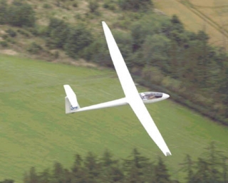 Glide over fields and trees